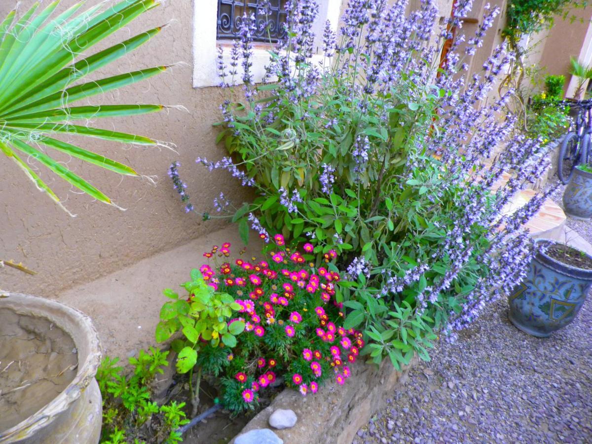 Auberge La Fibule Du Dades Ait Idair Exterior photo